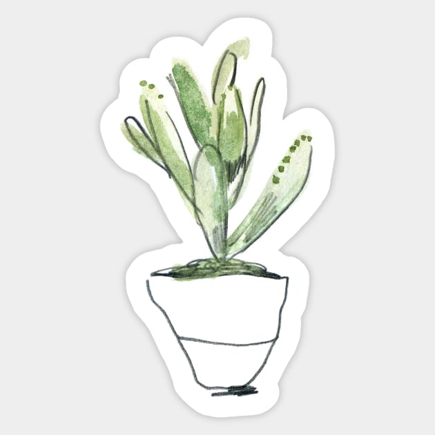 WC&S - kalanchoe tomentosa Sticker by crumpetsandcrabsticks